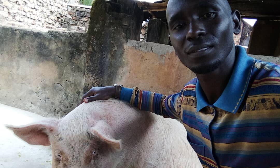 Piggery Project In Uganda Piggery Project In Uganda Piggery Project In Uganda Piggery Project In Uganda